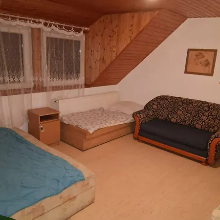 Badacsony-balaton Ifjúsági Apartman *
